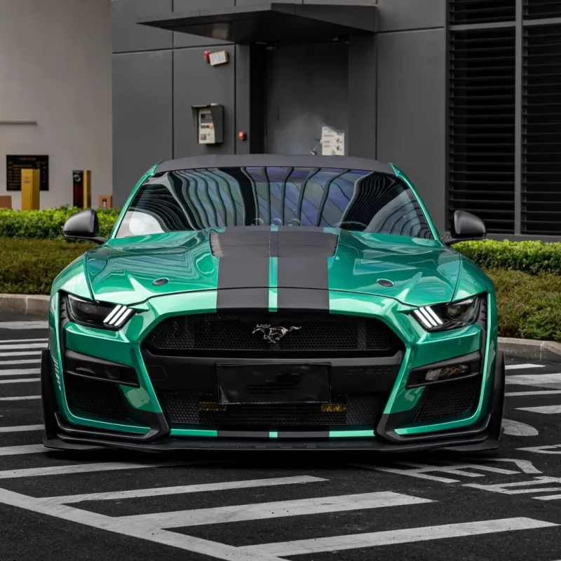 2-Day Paint Protection Film Training